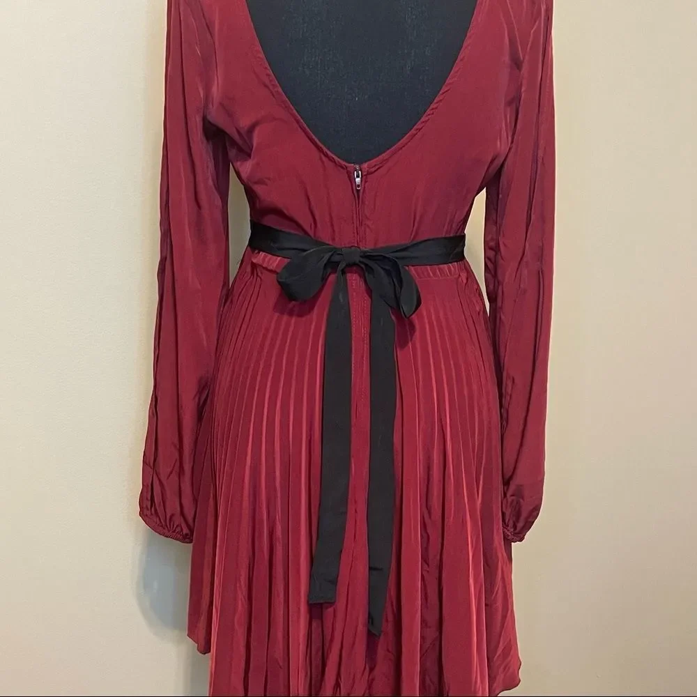Beautiful Dark Red Pleated Cocktail Dress - Picture 8 of 9